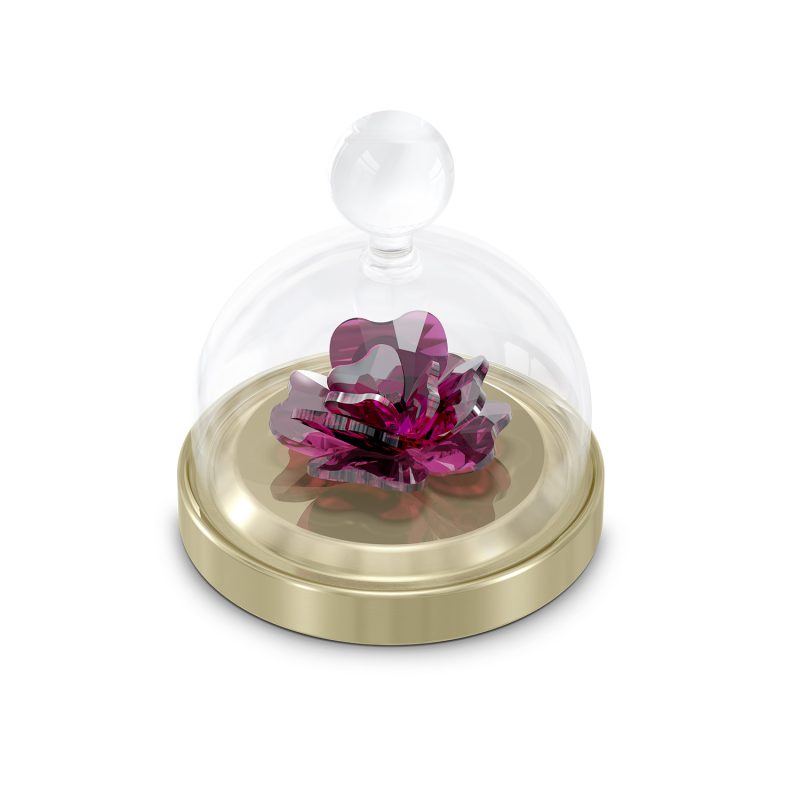 Garden Tales Campana di Vetro Rosa, Piccola Swarovski 5619223