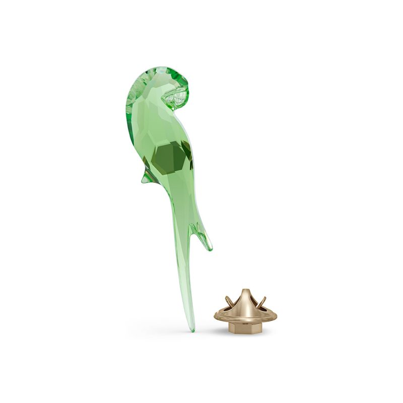 Jungle Beats Magnete Pappagallo, Verde, Piccolo Swarovski 5557813