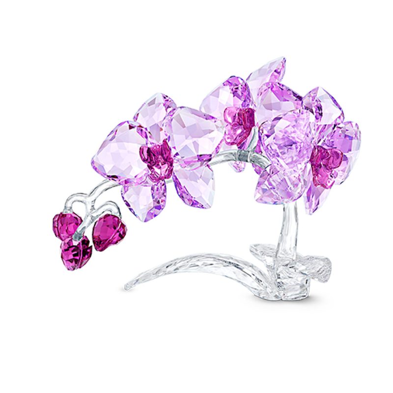 Orchidea Swarovski 5520373