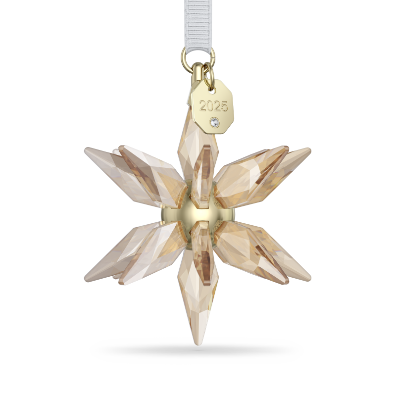 Annual Edition Decorazione 3D Festive 2025 Swarovski 5701505