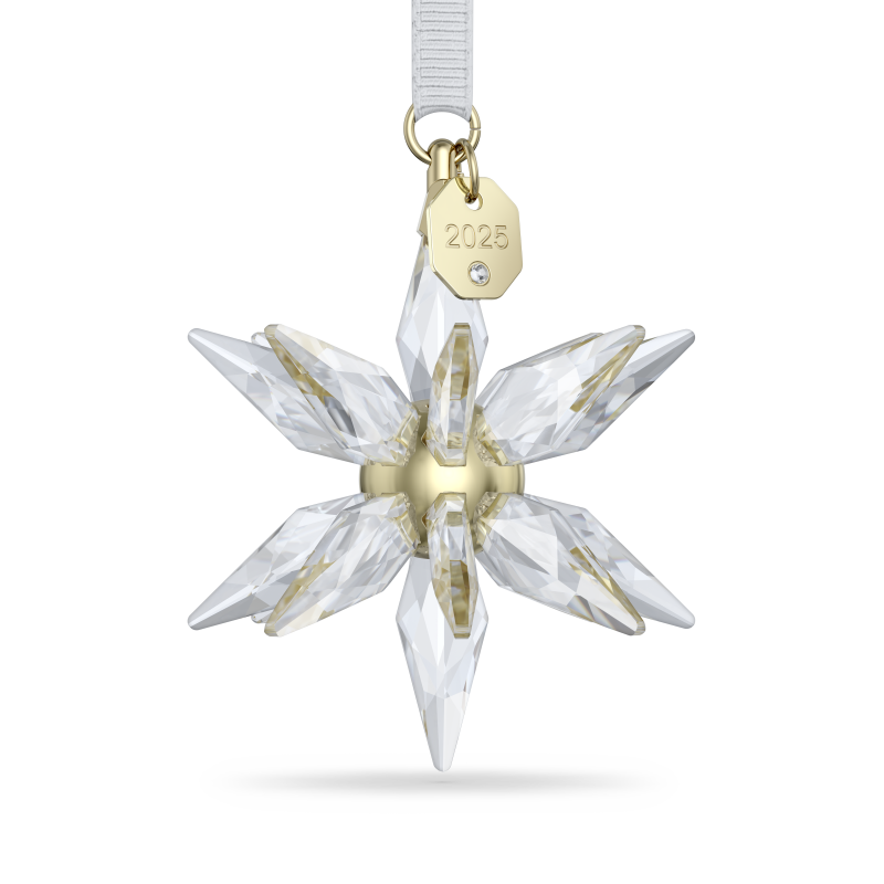Annual Edition Decorazione 3D 2025 Swarovski 5701506