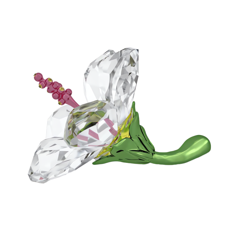 Florere Ibisco Swarovski 5690534 - immagine 2