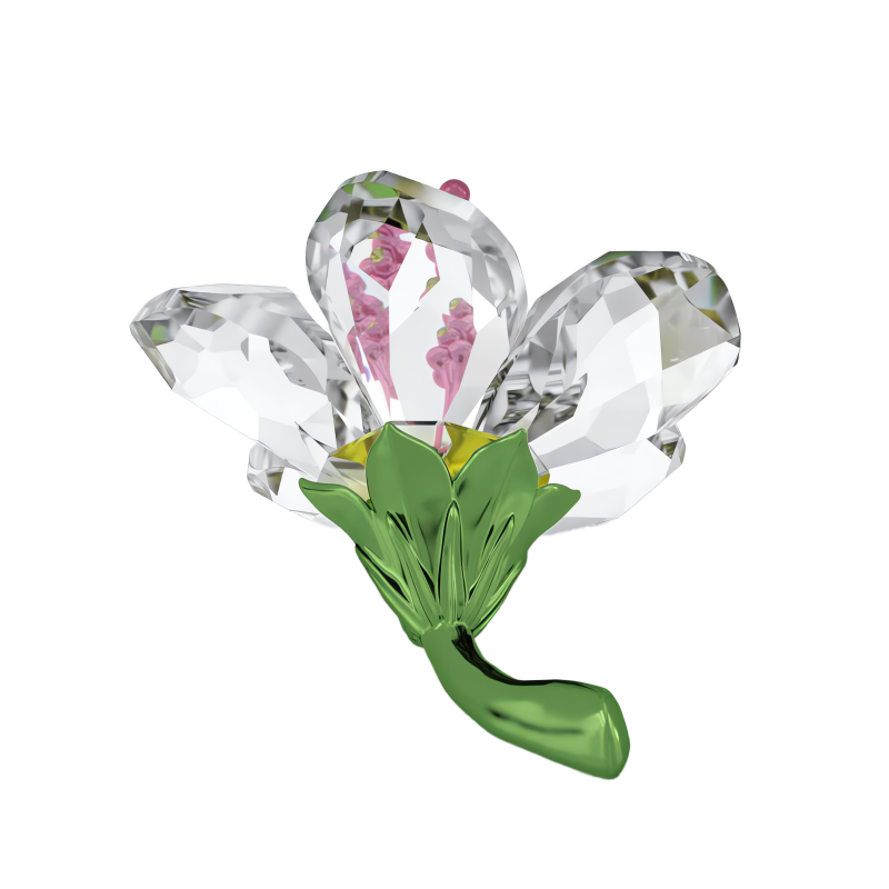 Florere Ibisco Swarovski 5690534 - immagine 3