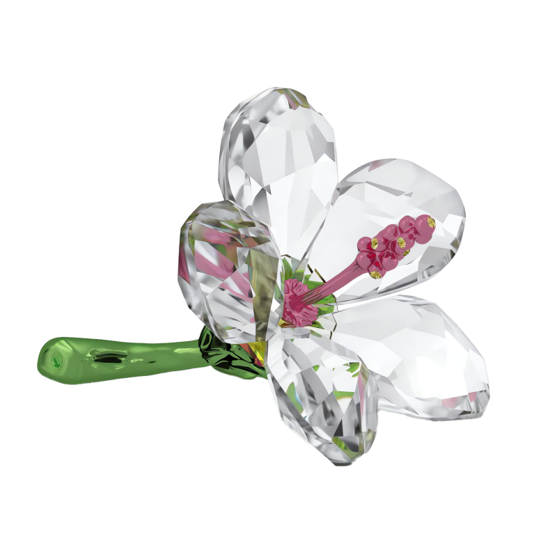 Florere Ibisco Swarovski 5690534 - immagine 4