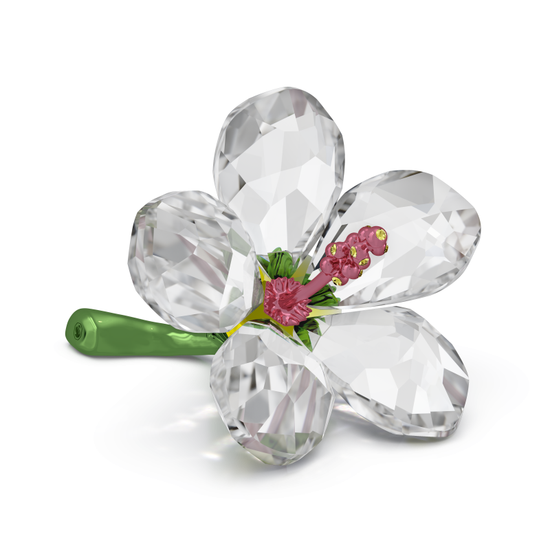 Florere Ibisco Swarovski 5690534